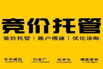 行业领先企业的SEM广告投放策略案例
